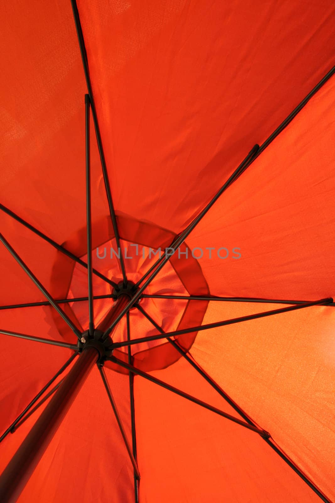 umbrella by Hasenonkel