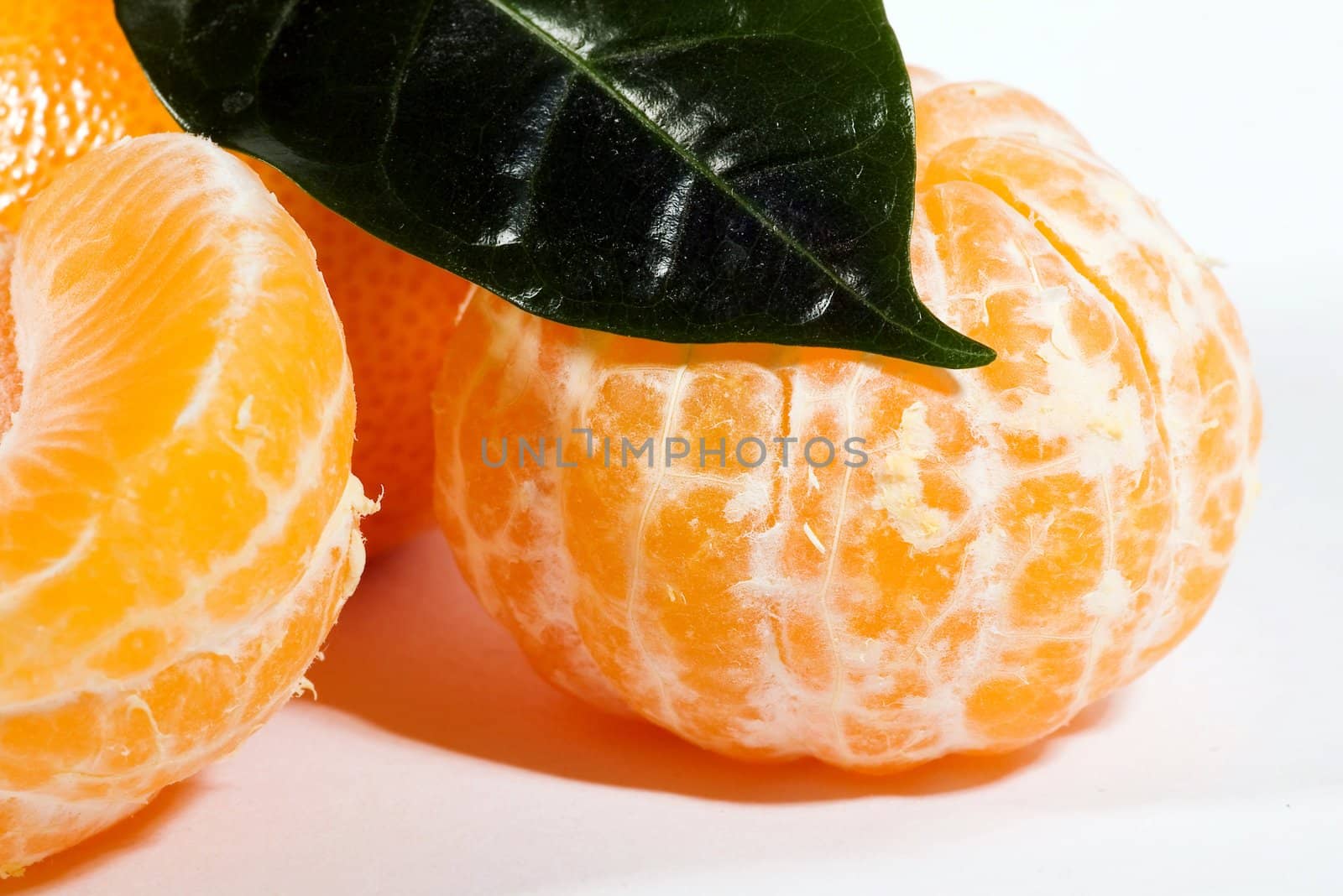 Tangerines on the white background
