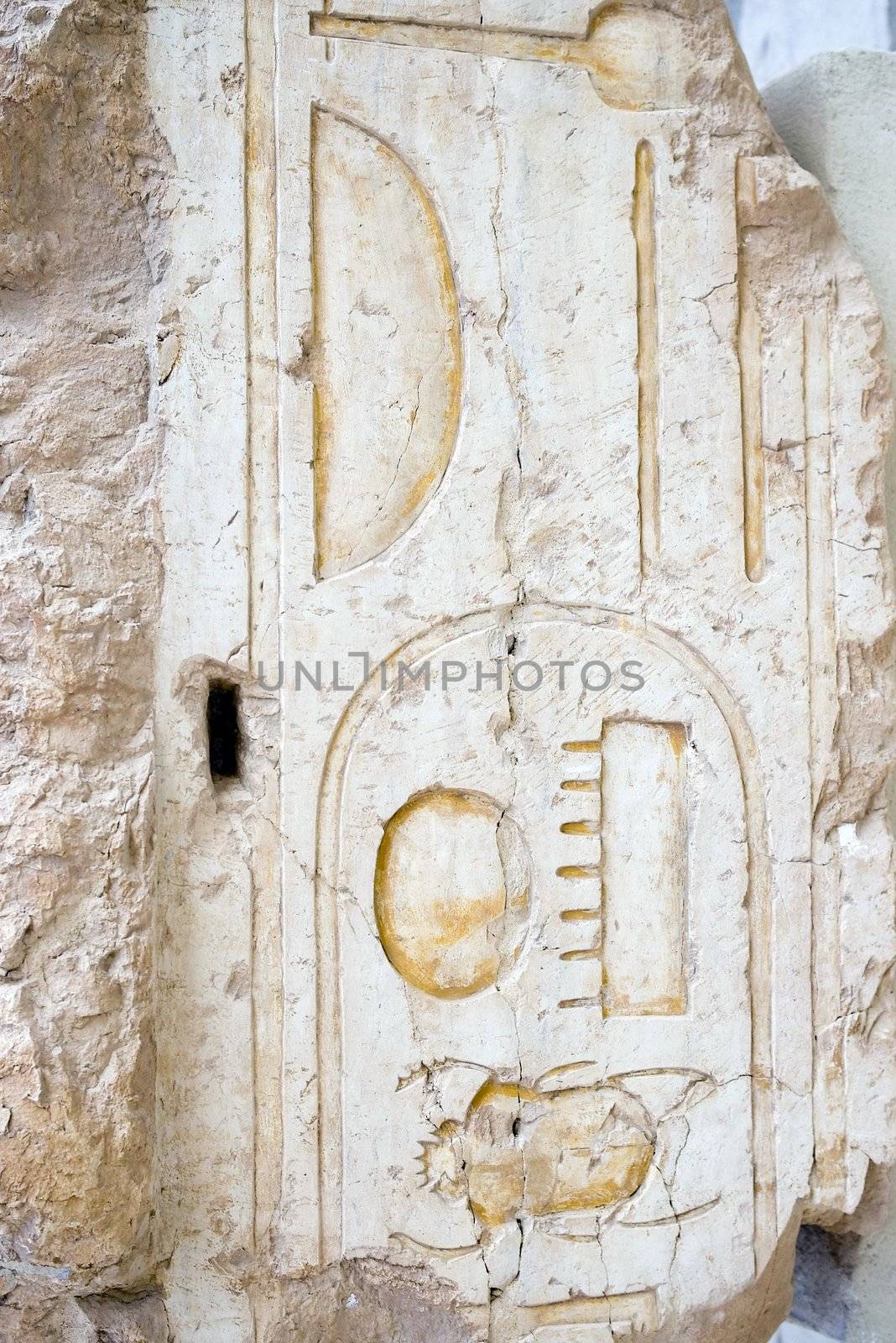  Egyptian Hieroglyphs in the temple of Hutshapsud , Egypt
