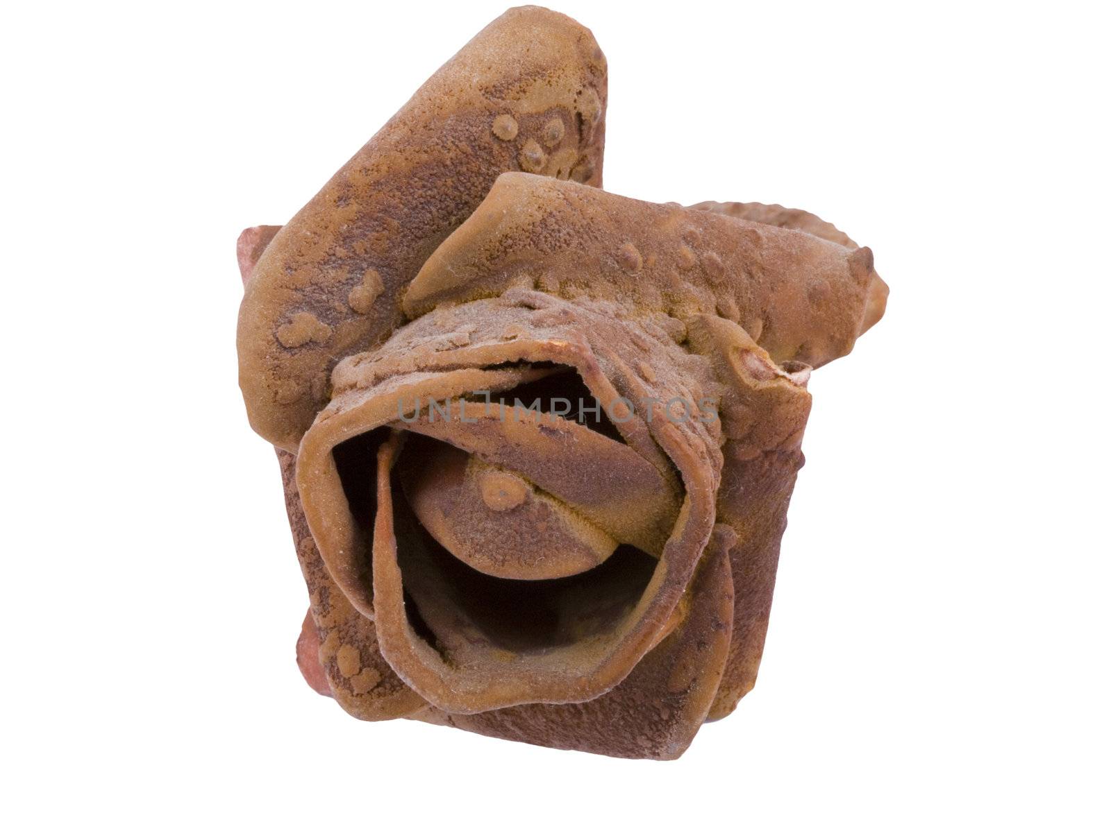 an aragonite (stone) rose isolated on the white background