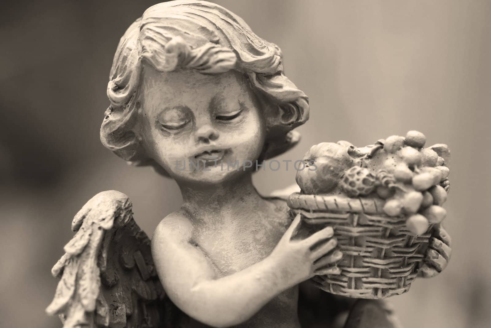 Portrait of an angel in sepia.