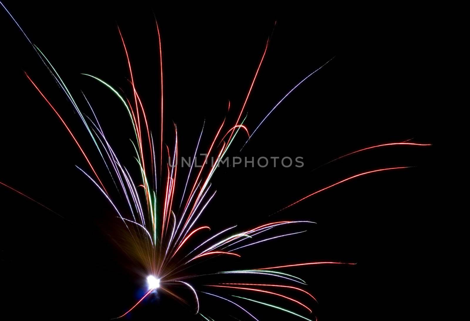 Fireworks Lighting up the Black Night Sky