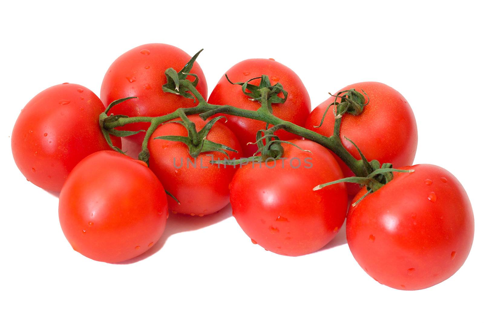 branch of tomatoes by Alekcey