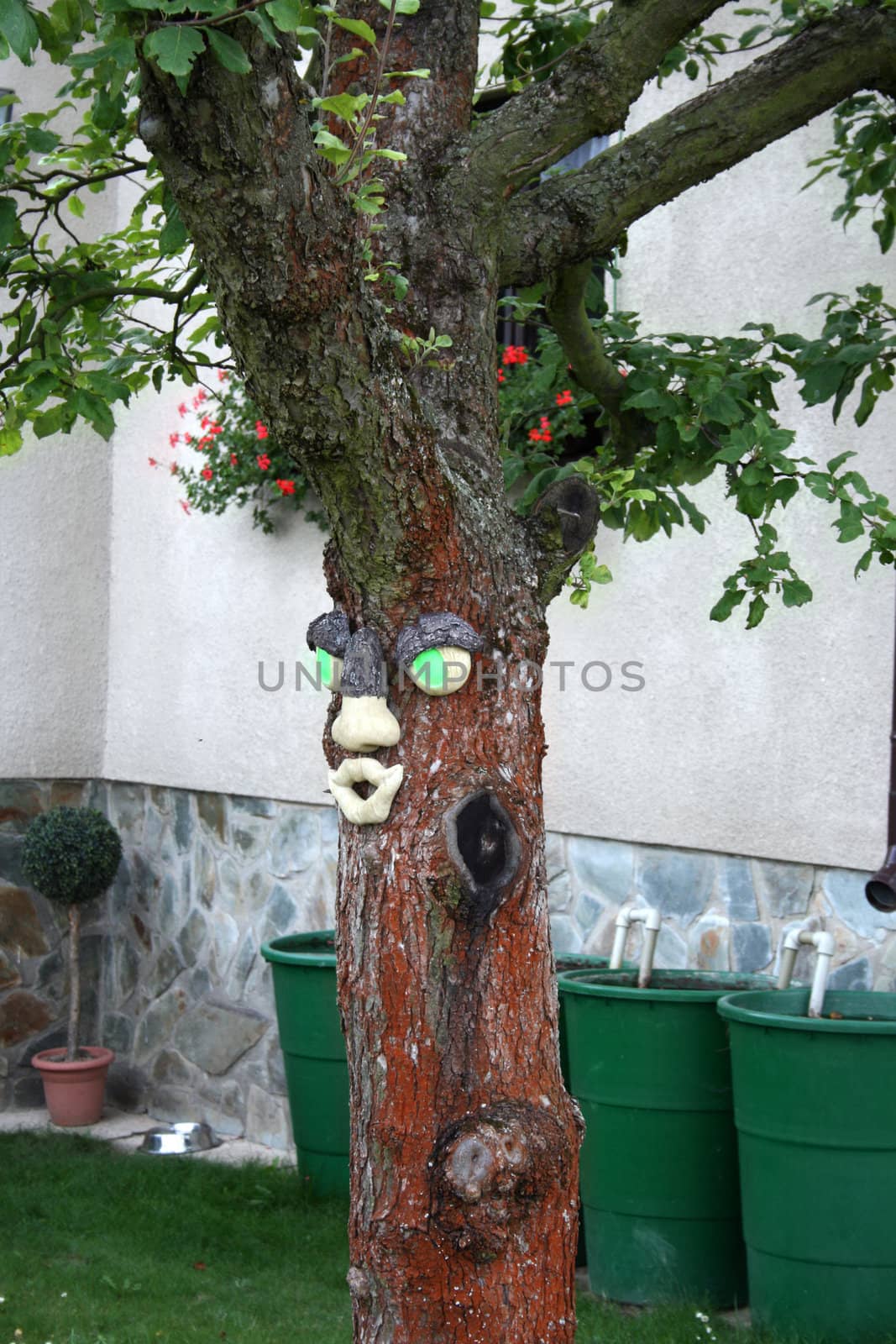 a smiling tree with a manmade funny face