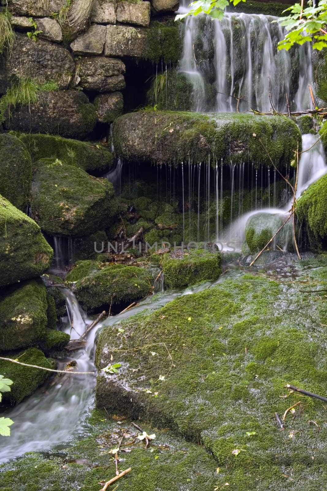 a little stream in the mountain forest