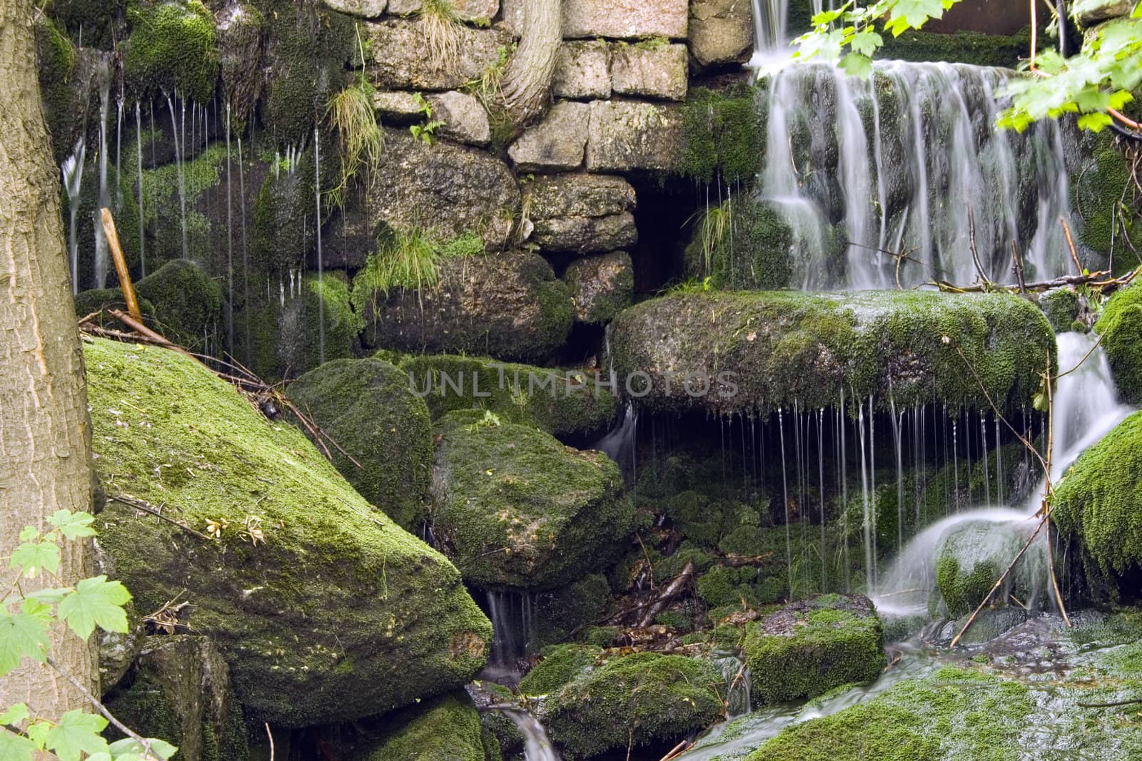 a little stream in the mountain forest