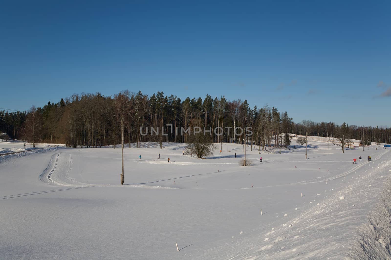 winter ski