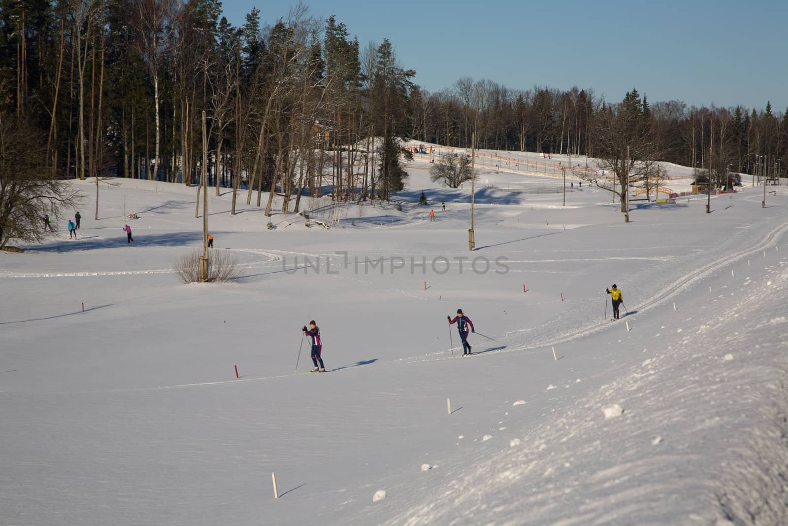 winter ski