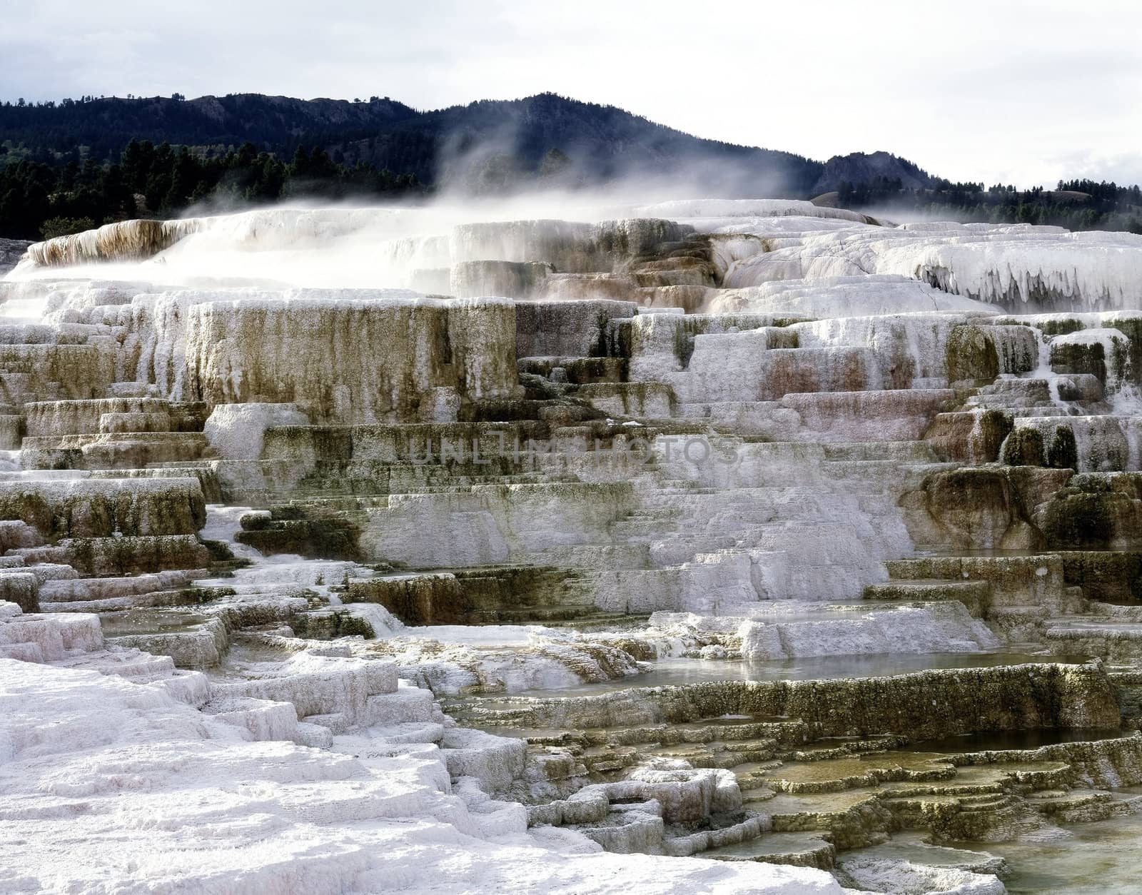 Minerva Terrace in Wyoming