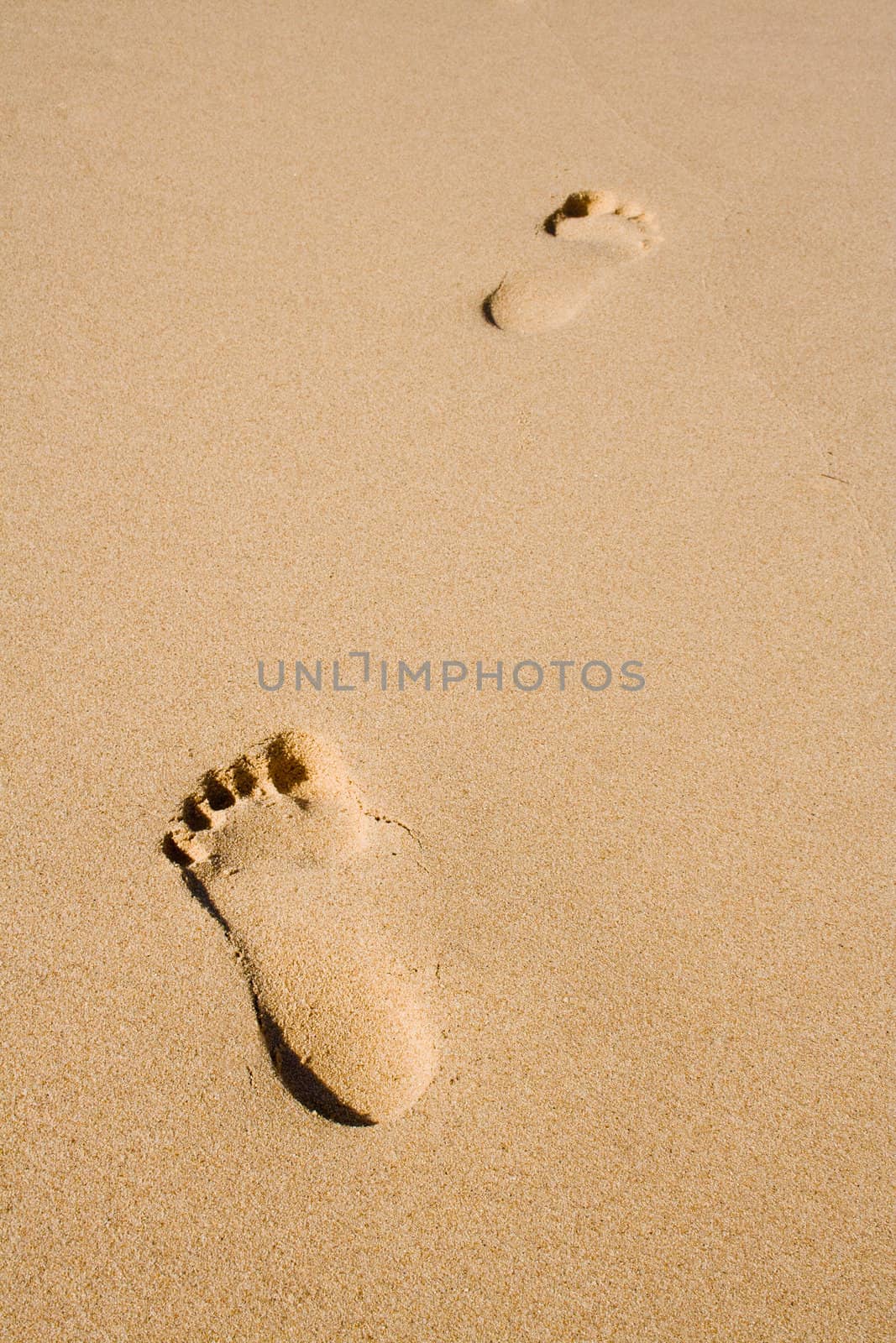 Footprints in the sand