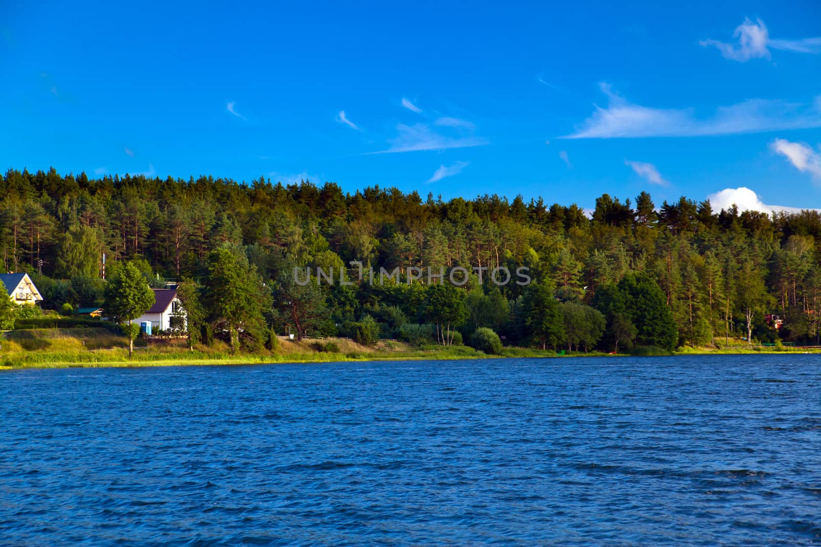 Summer landscape at the lake and forest
