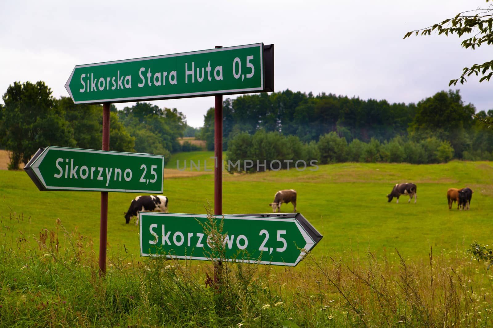 Sign with village directions at Polish countryside
