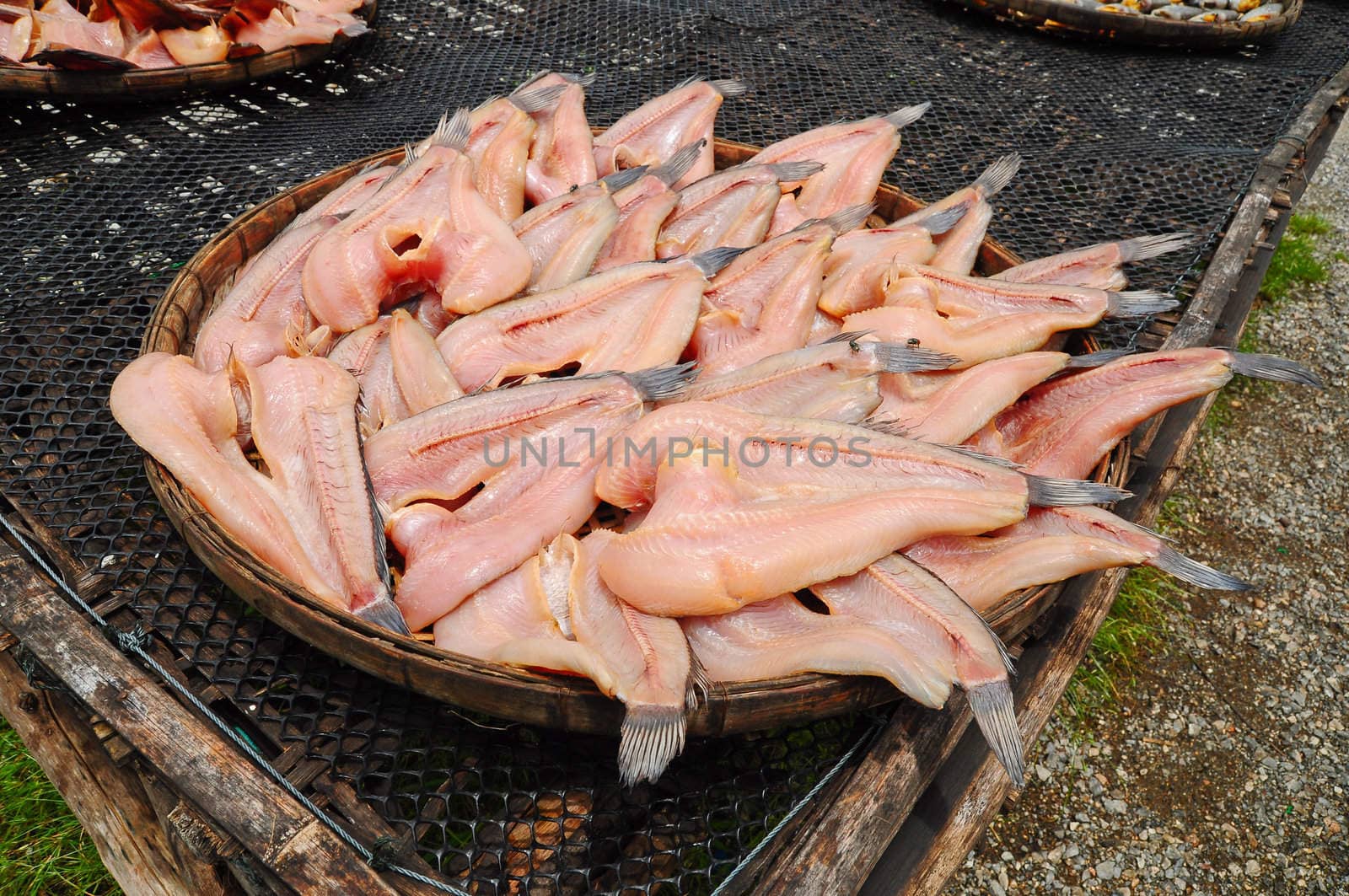 Dried fish in Thailand