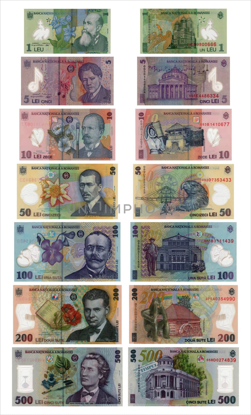 All Types of Romanian Leu Money Banknotes Curency isolated on white