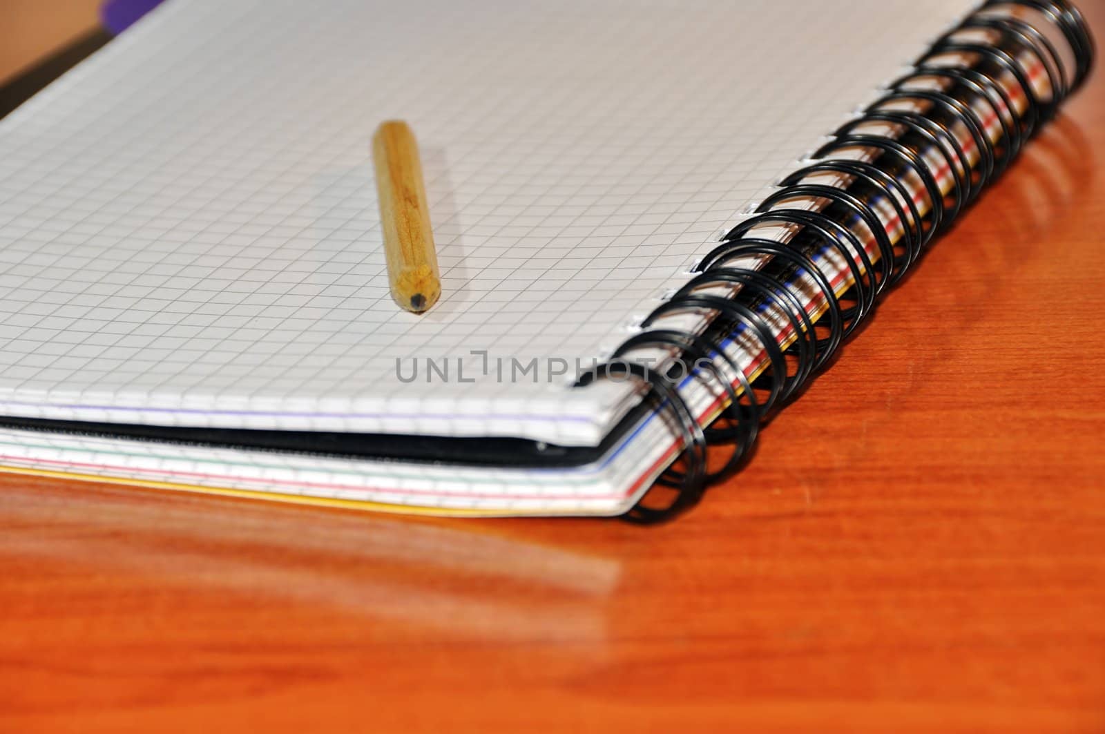 pencil for drawing on a writing-book in a cage