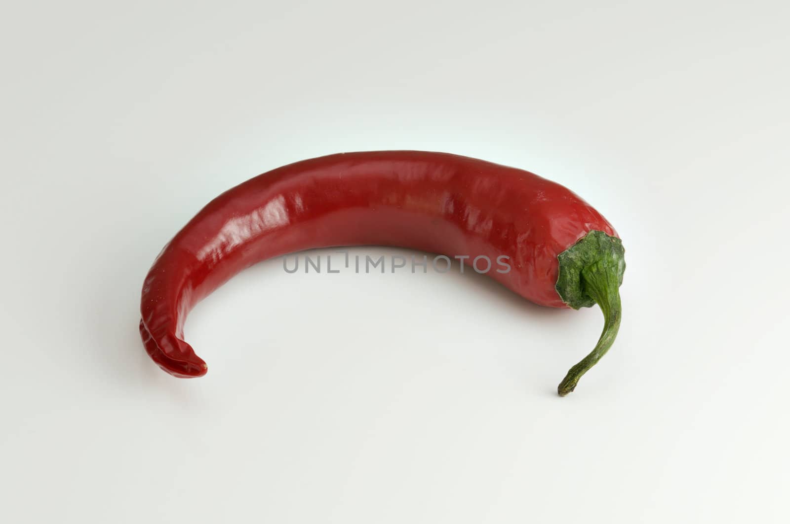 Red hot chili pepper for spicy food