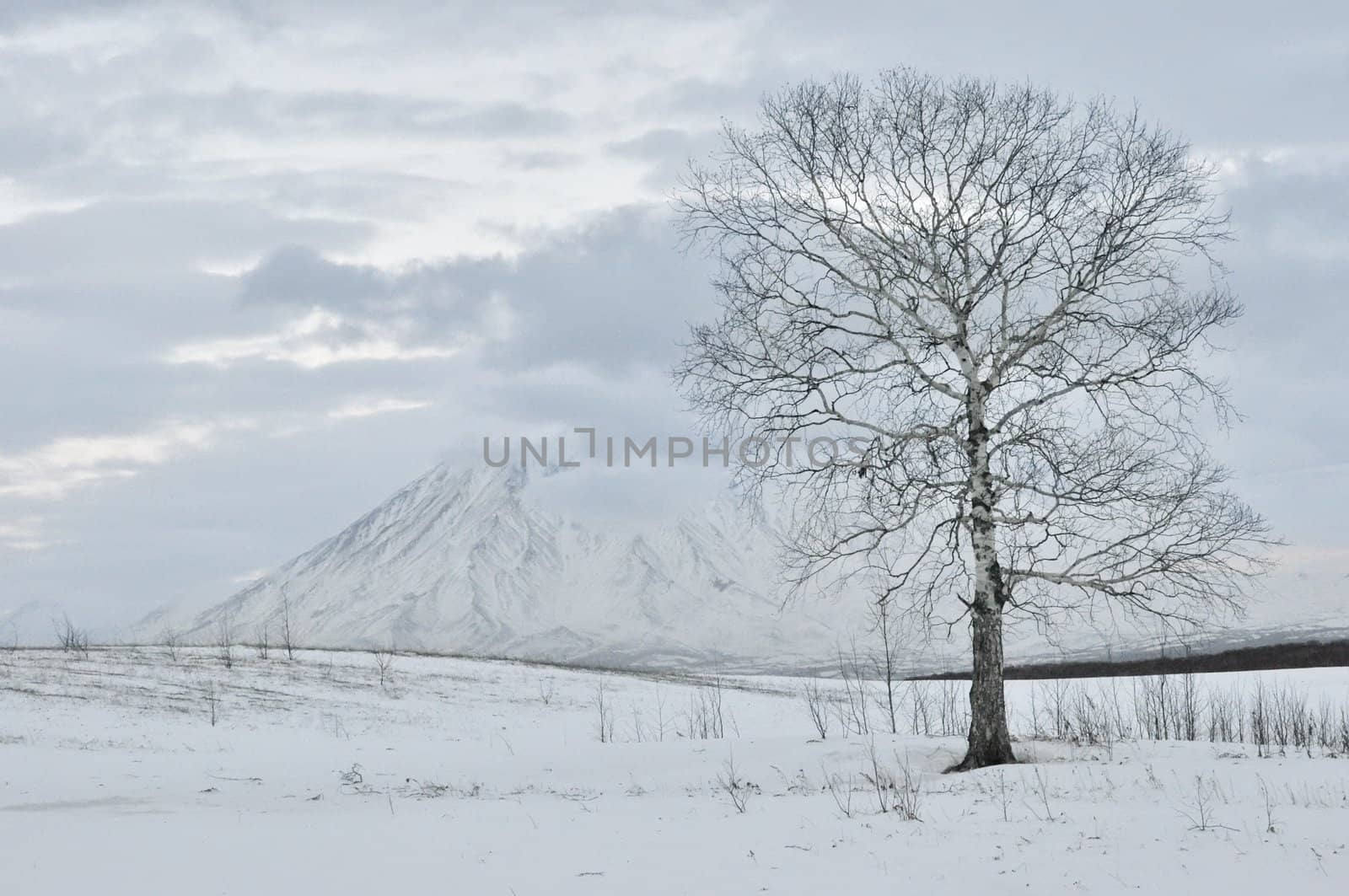 Winter landscape by alena0509