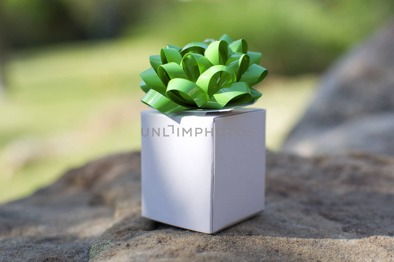 A tiny white gift box sits on a rock like a gift from Mother Nature herself.