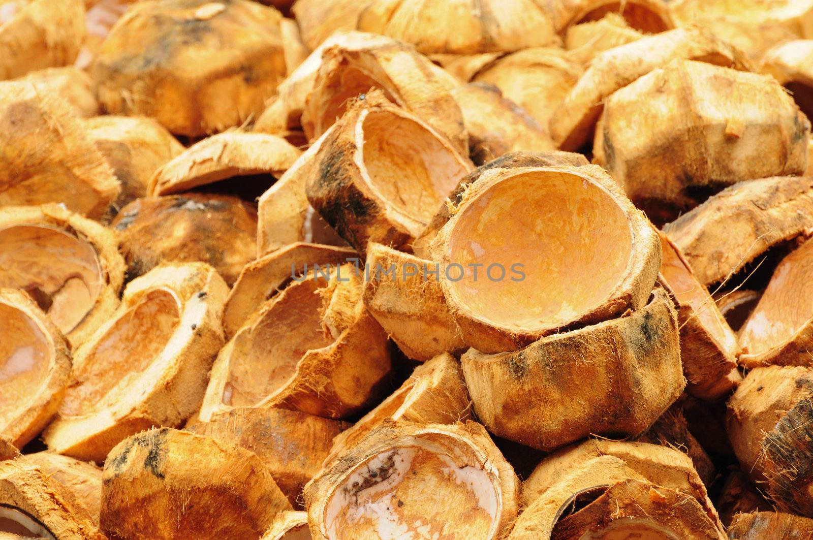 A large number of coconut shells