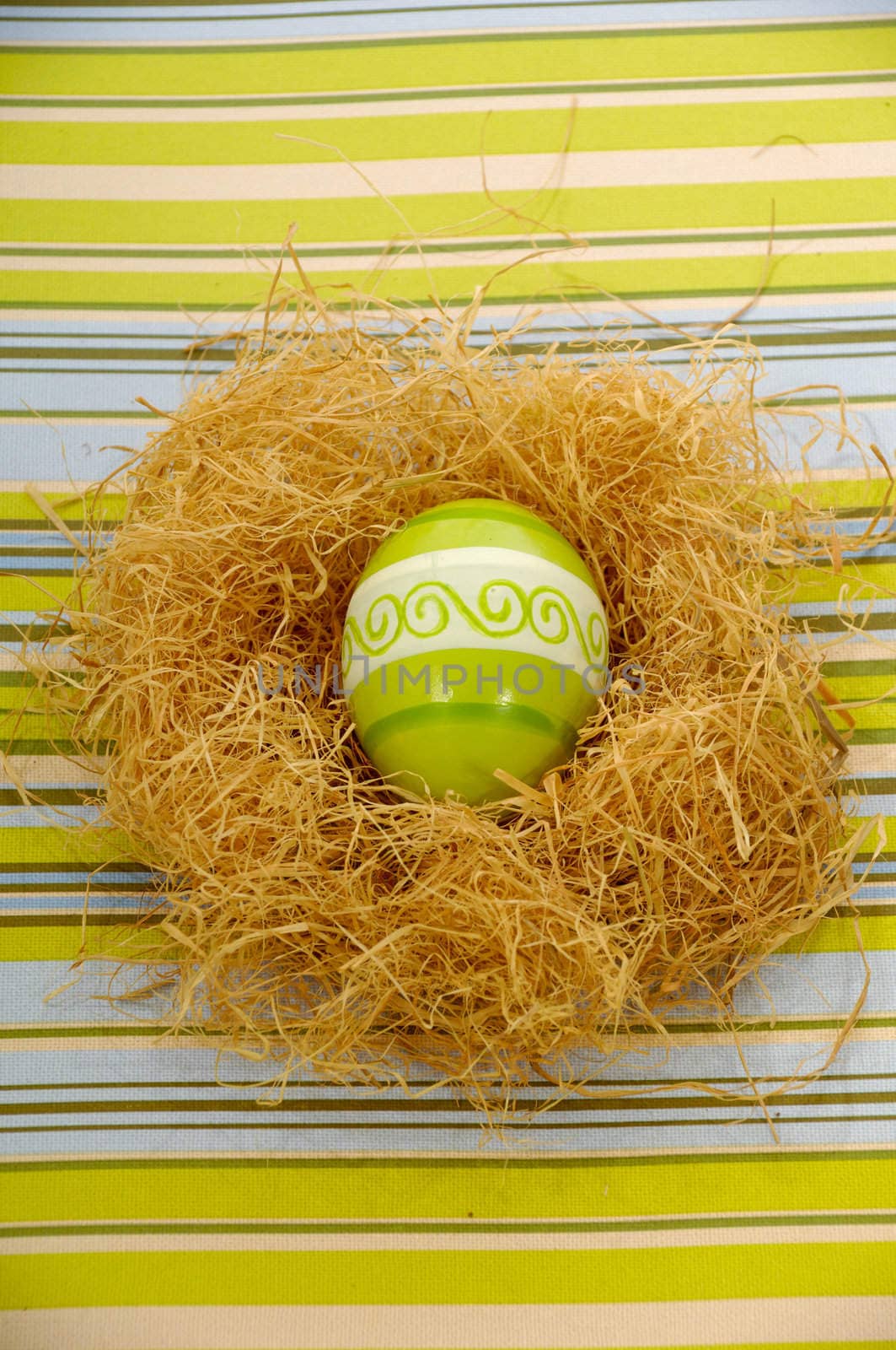 Easter egg in nest by cfoto