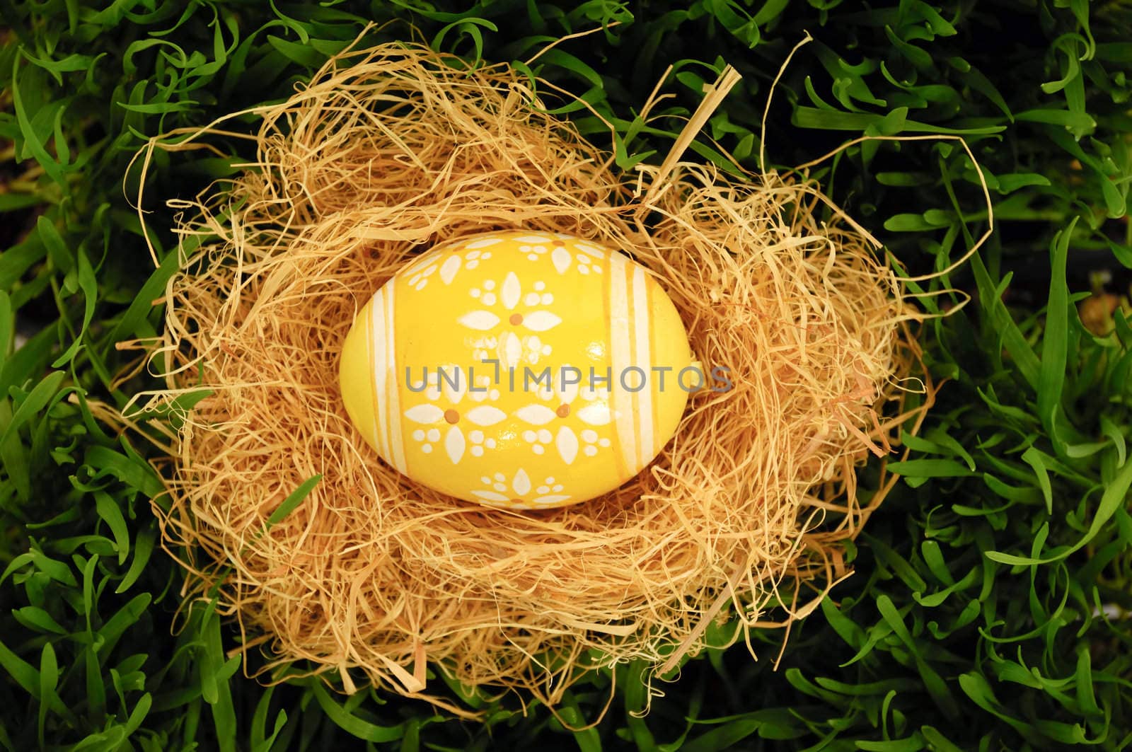 Easter egg in nest on green grass.