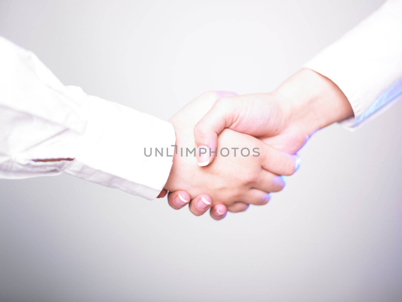 Handshake Handshaking isolate on white