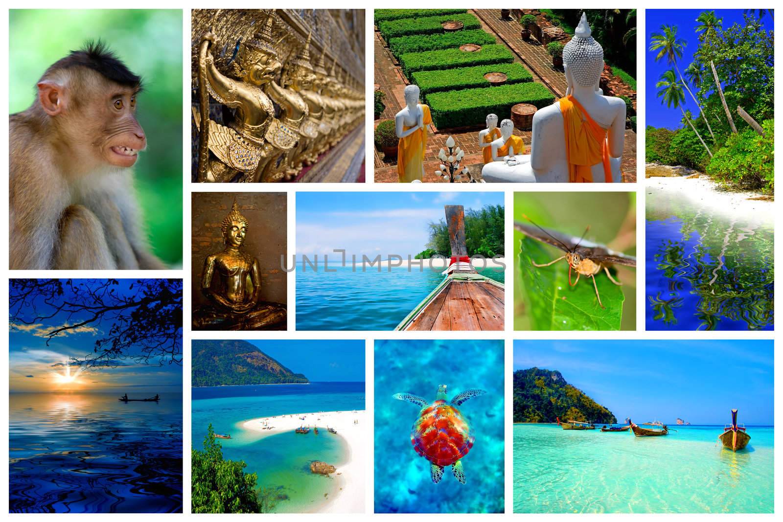 Collage of pictures from the beauty of Thailand