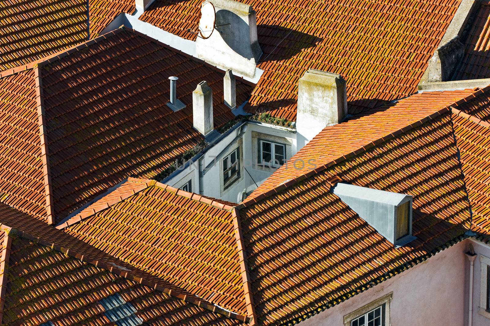 roof by Discovod