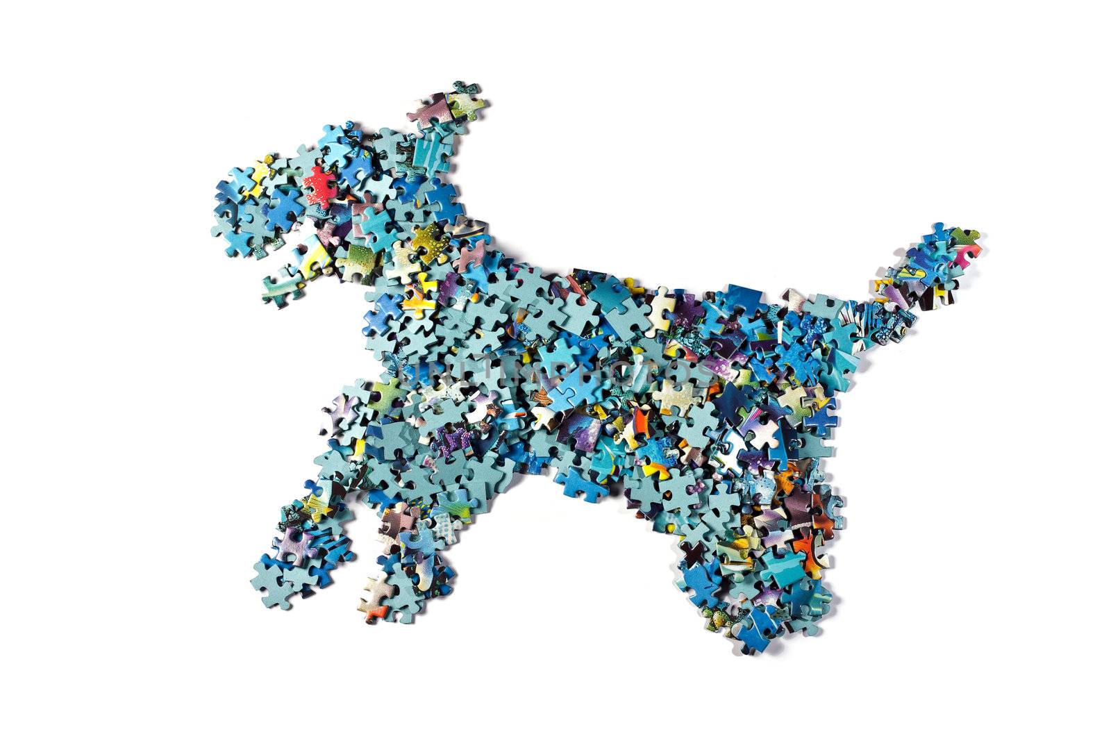 dog made from the puzzle , isolated