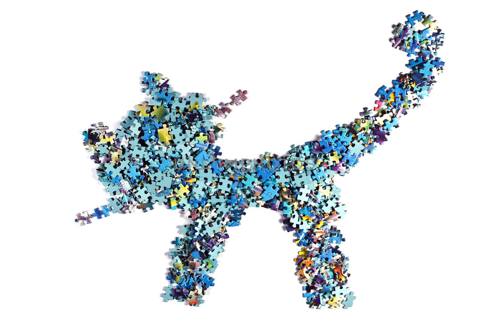 kitten made from the puzzle , isolated