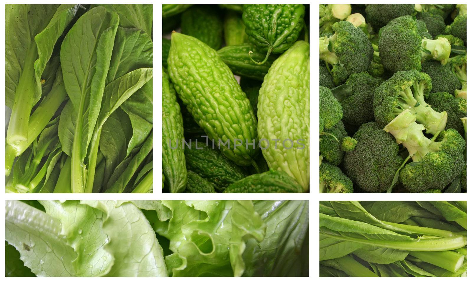 Green Vegetables for a Healthy Eating Lifestyle