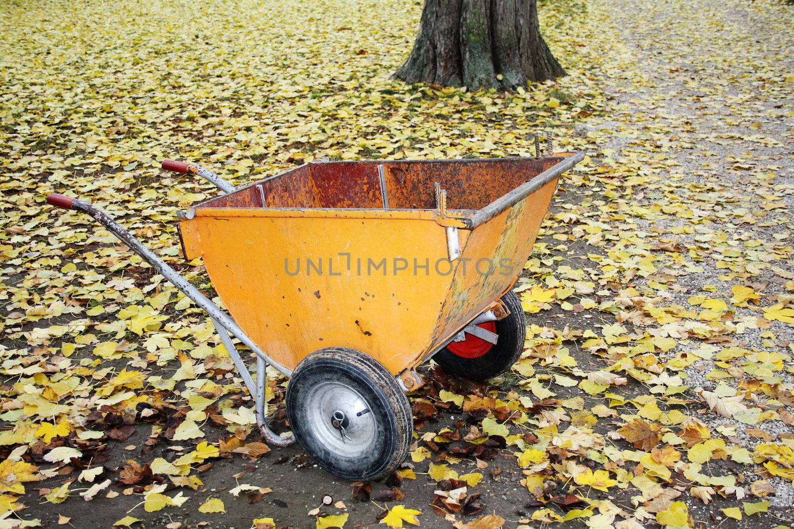 Wheelbarrow in the Park by photochecker