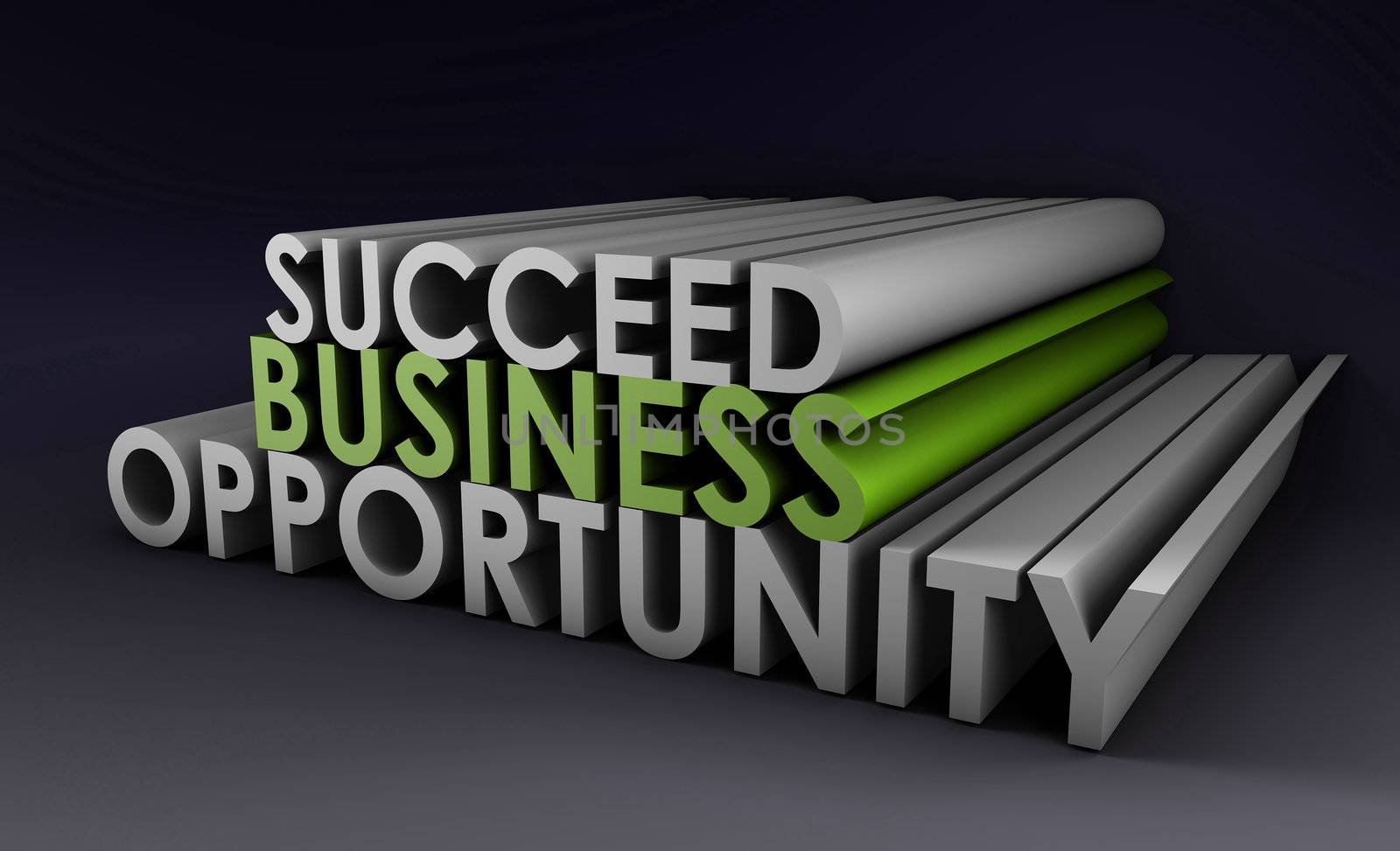 Business Opportunity and the Need to Succeed