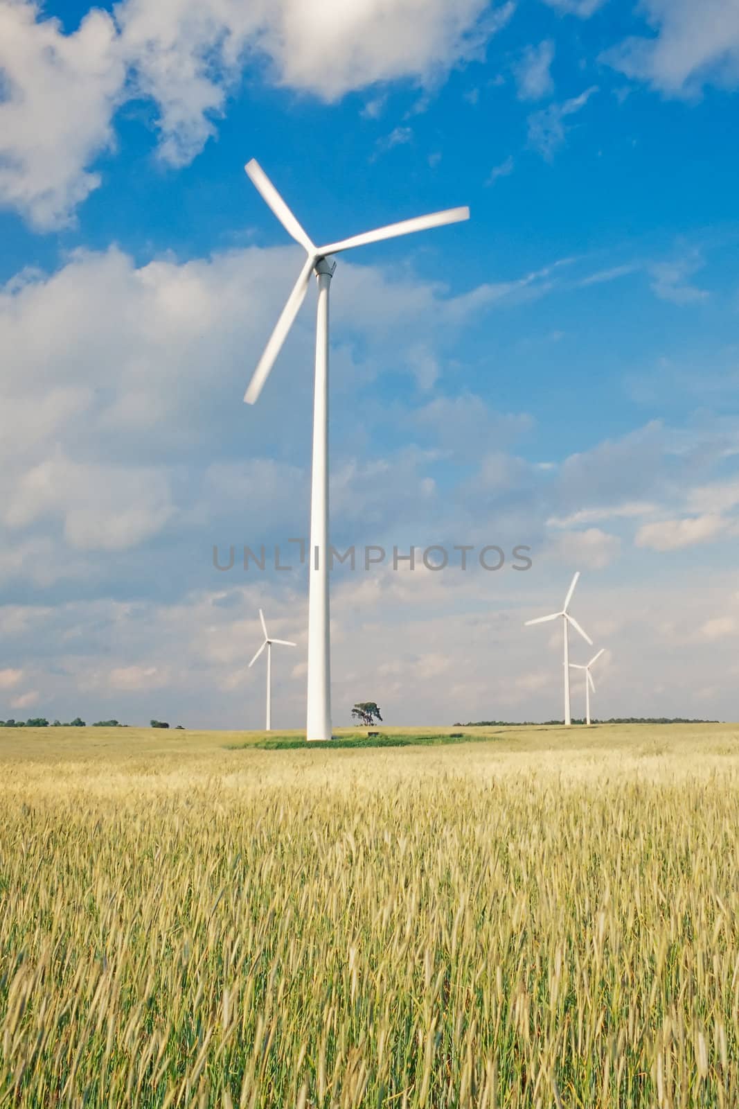 Wind turbines/ windfarm on farmland (slight motion blur on rotors)