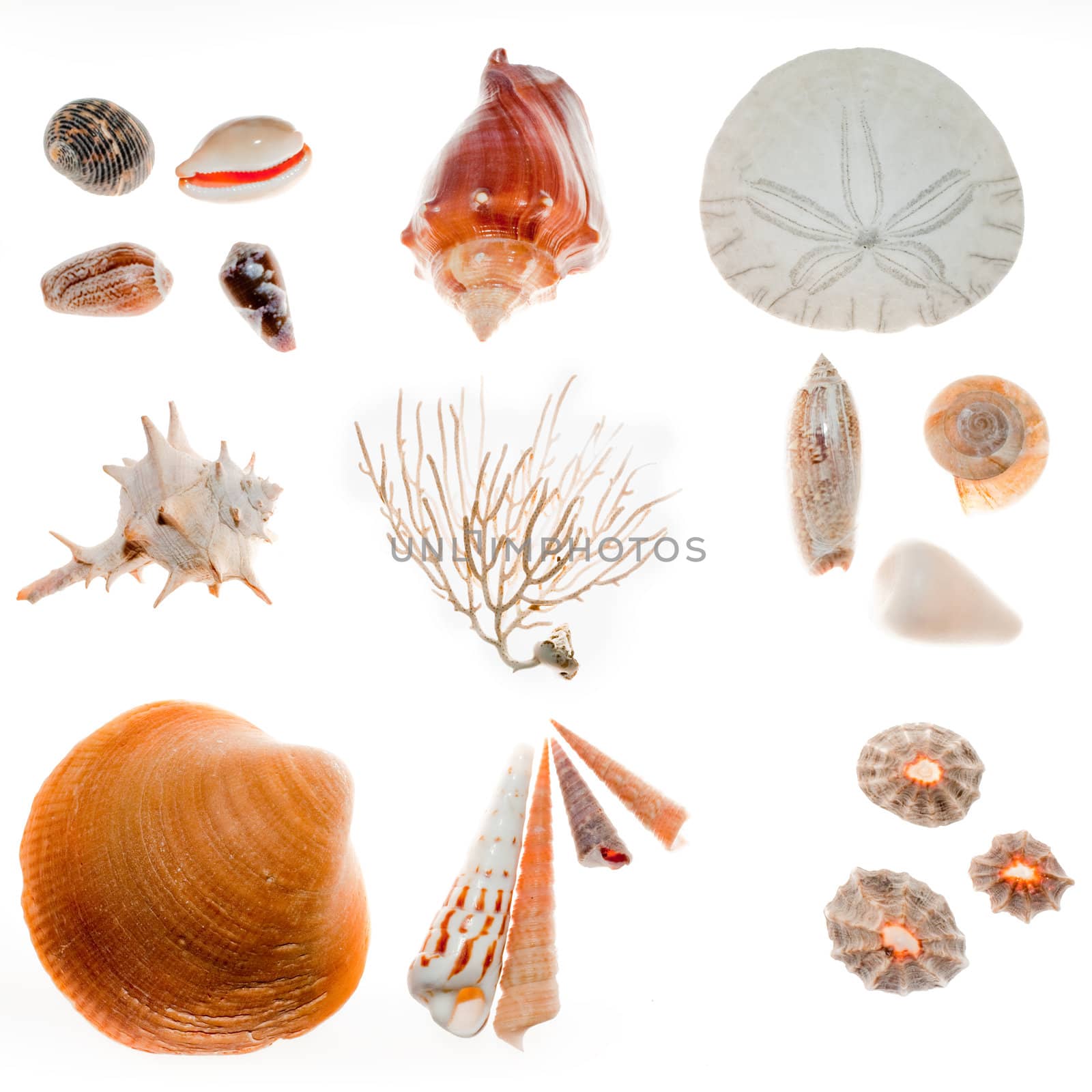 Beach findings by PiLens