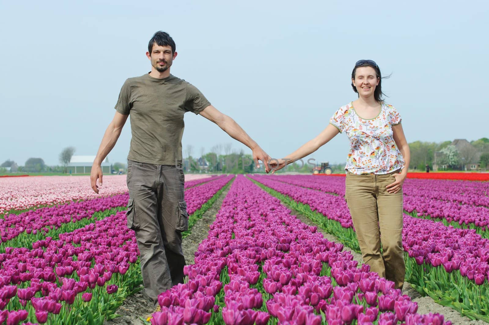 Happy young couple in the purple tulips field