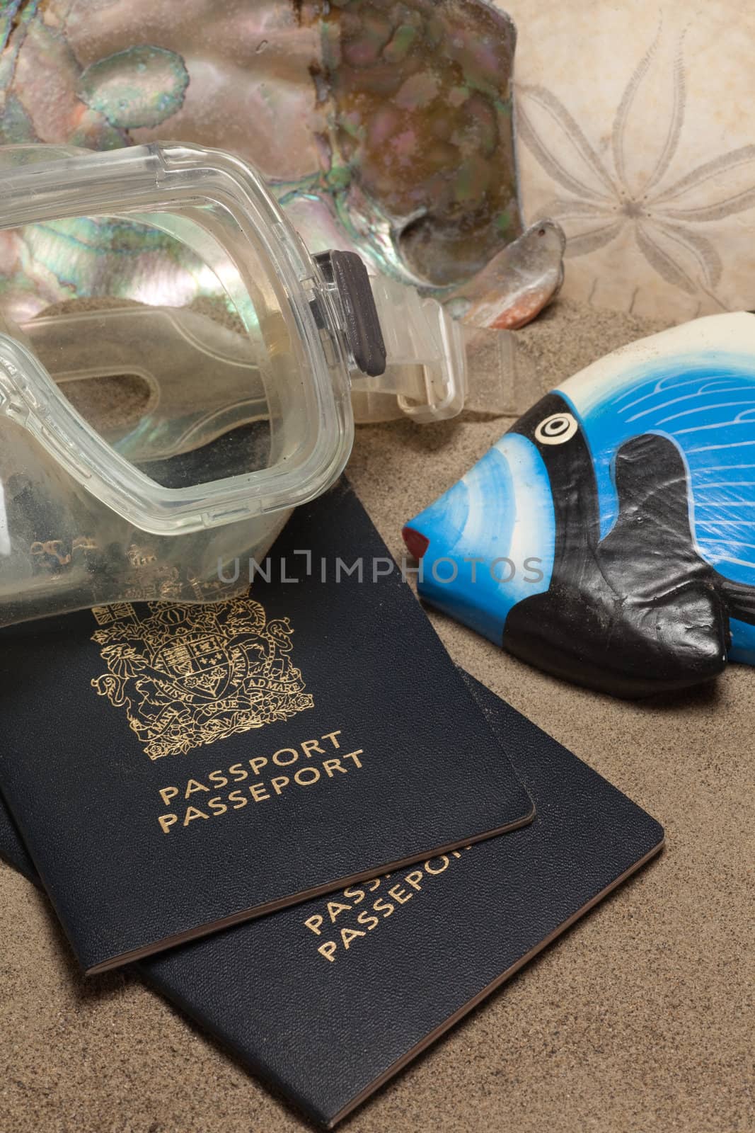 Close-Up of passports, diving mask, sand dollar (Echinoderm), coral fish and abalone: Beach Vacation Concept