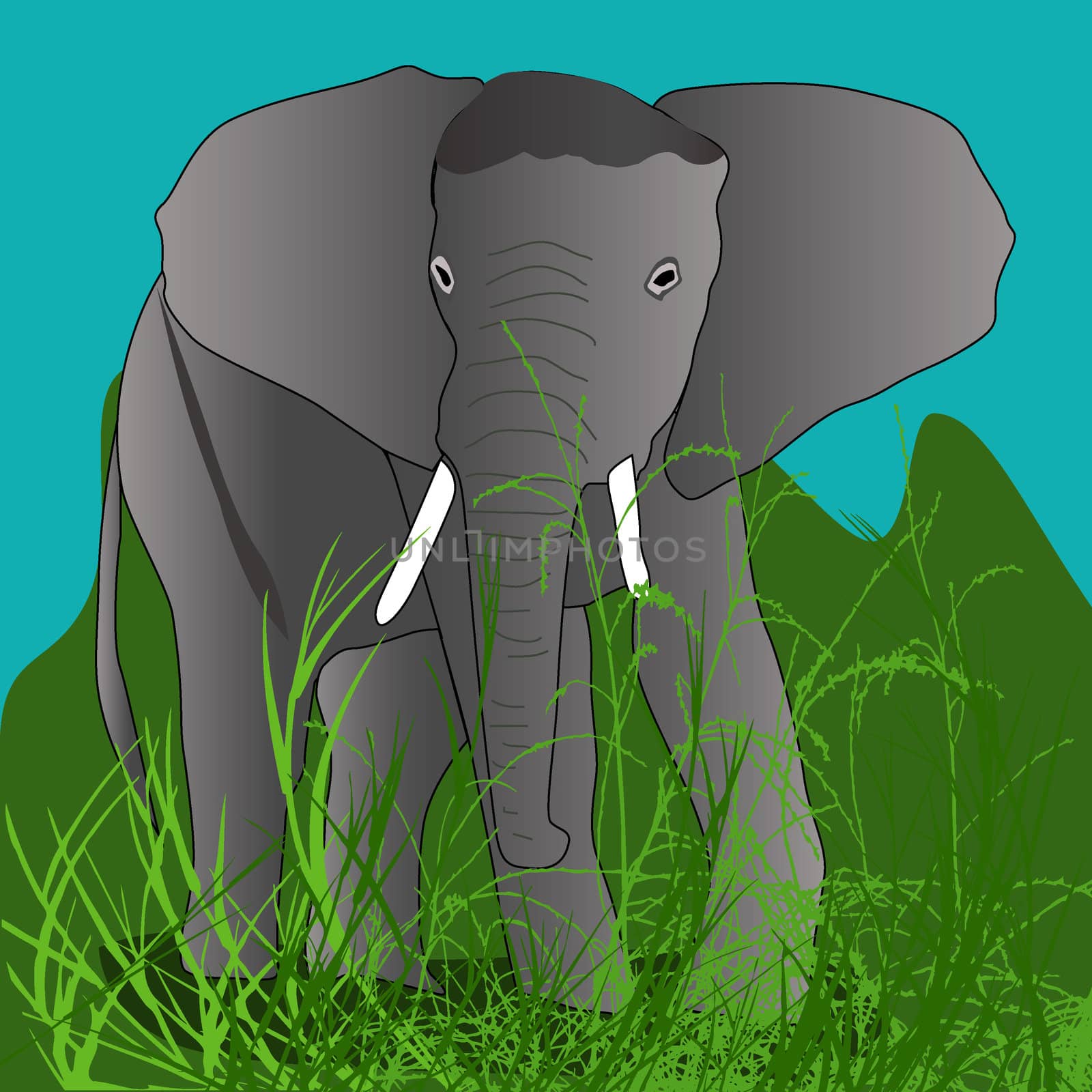 Elephant