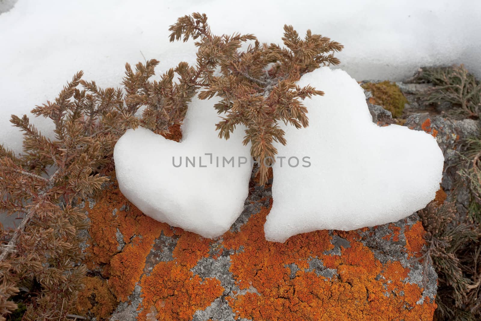 Two snow hearts on rock by PiLens