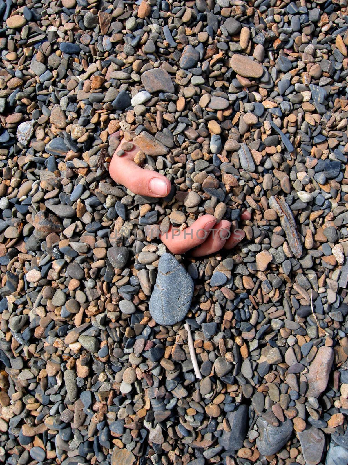 Fingers of a hand are sticking out of gravel surface.