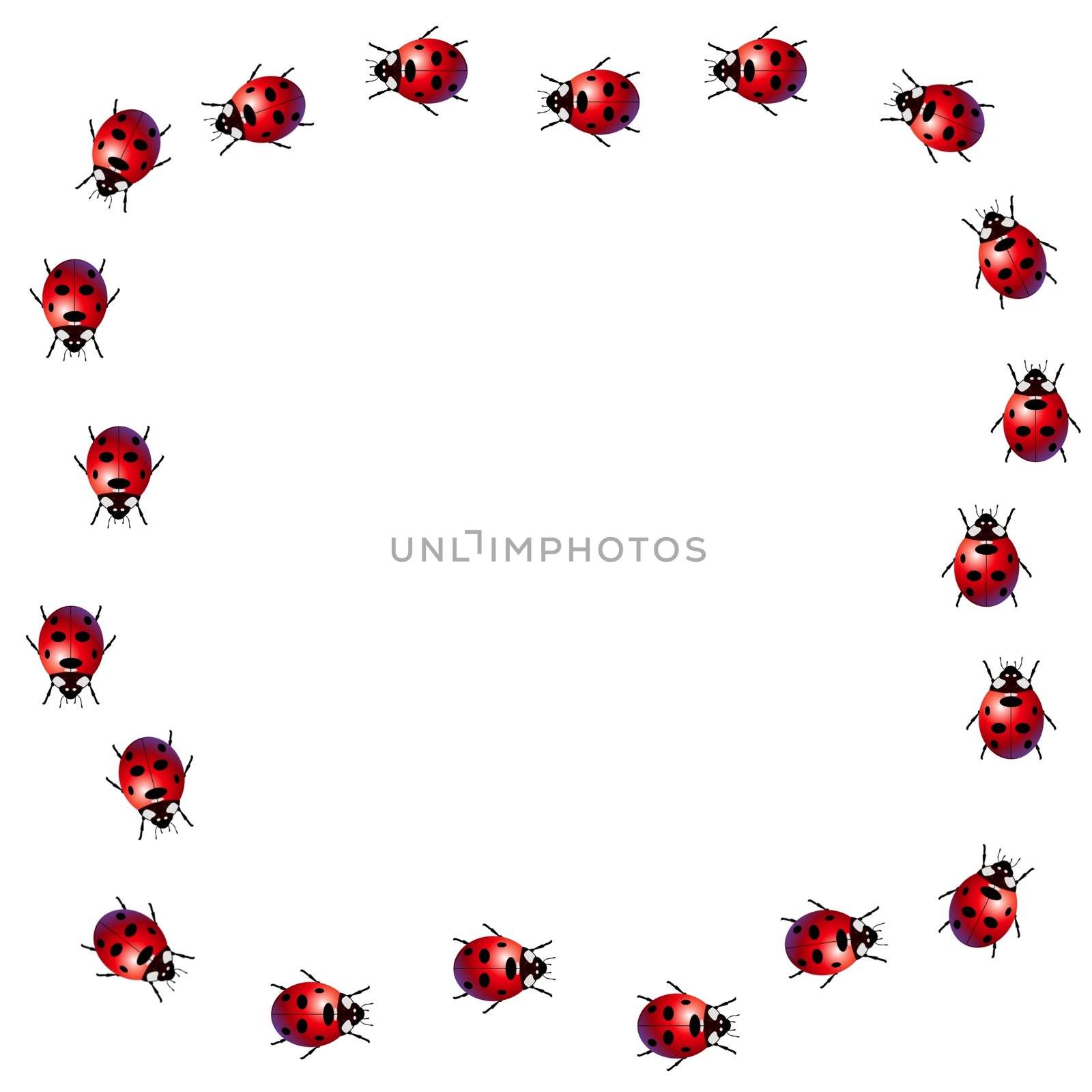 Frame made of ladybirds on a white background