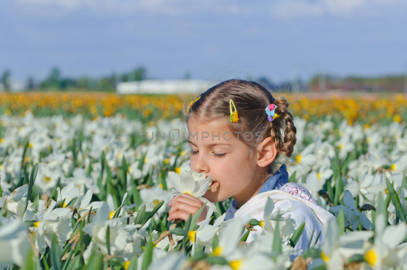 little girl sitting on the meadow with daffodils