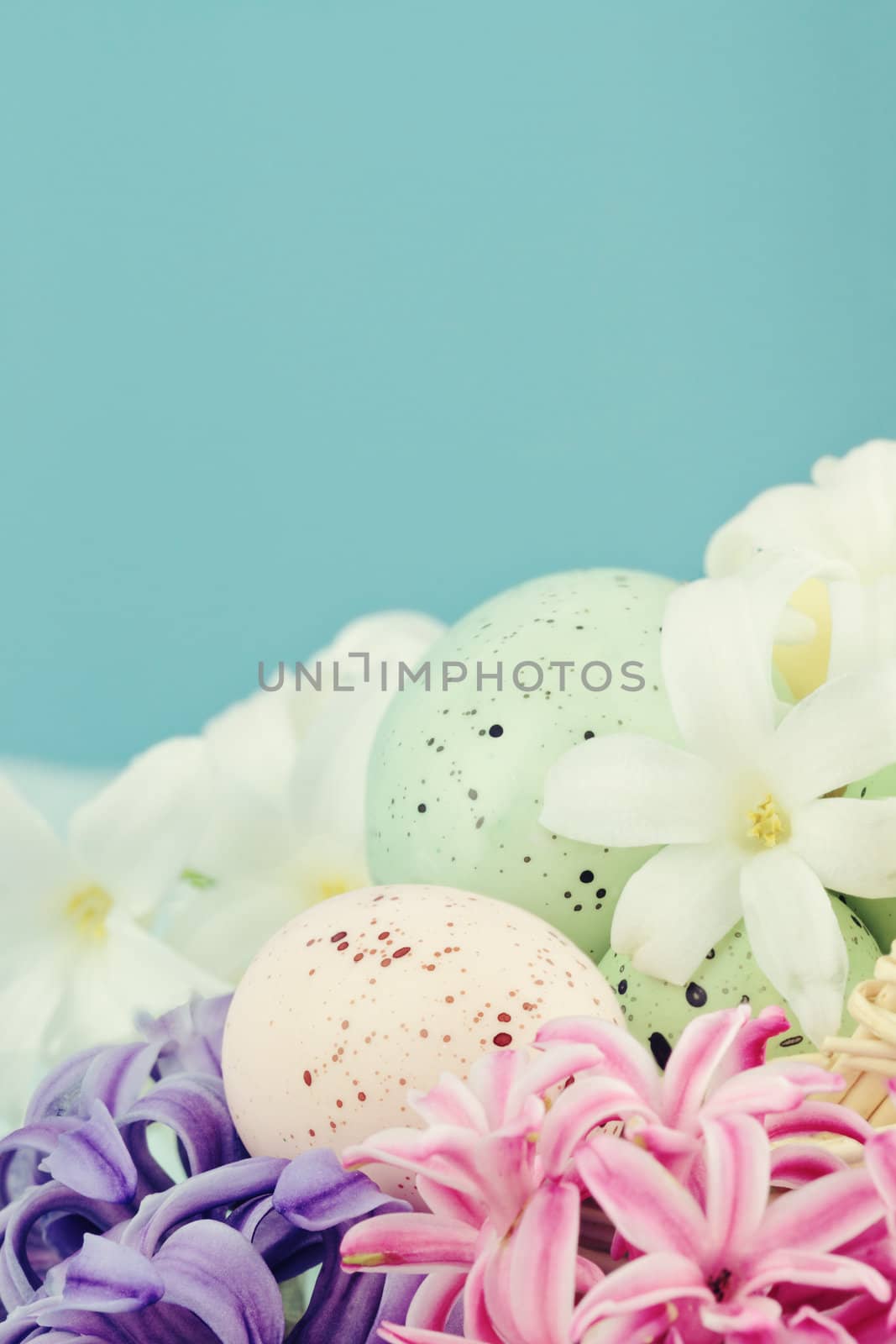 Easter eggs lying in a bed of spring flowers against a blue background with room for copyspace. Selective focus with extreme shallow DOF.
