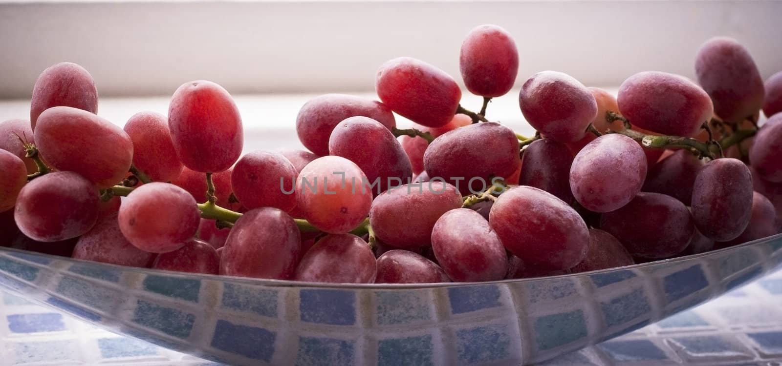 organic red grapes on a silver dish







organic red grapes on a silver dish
