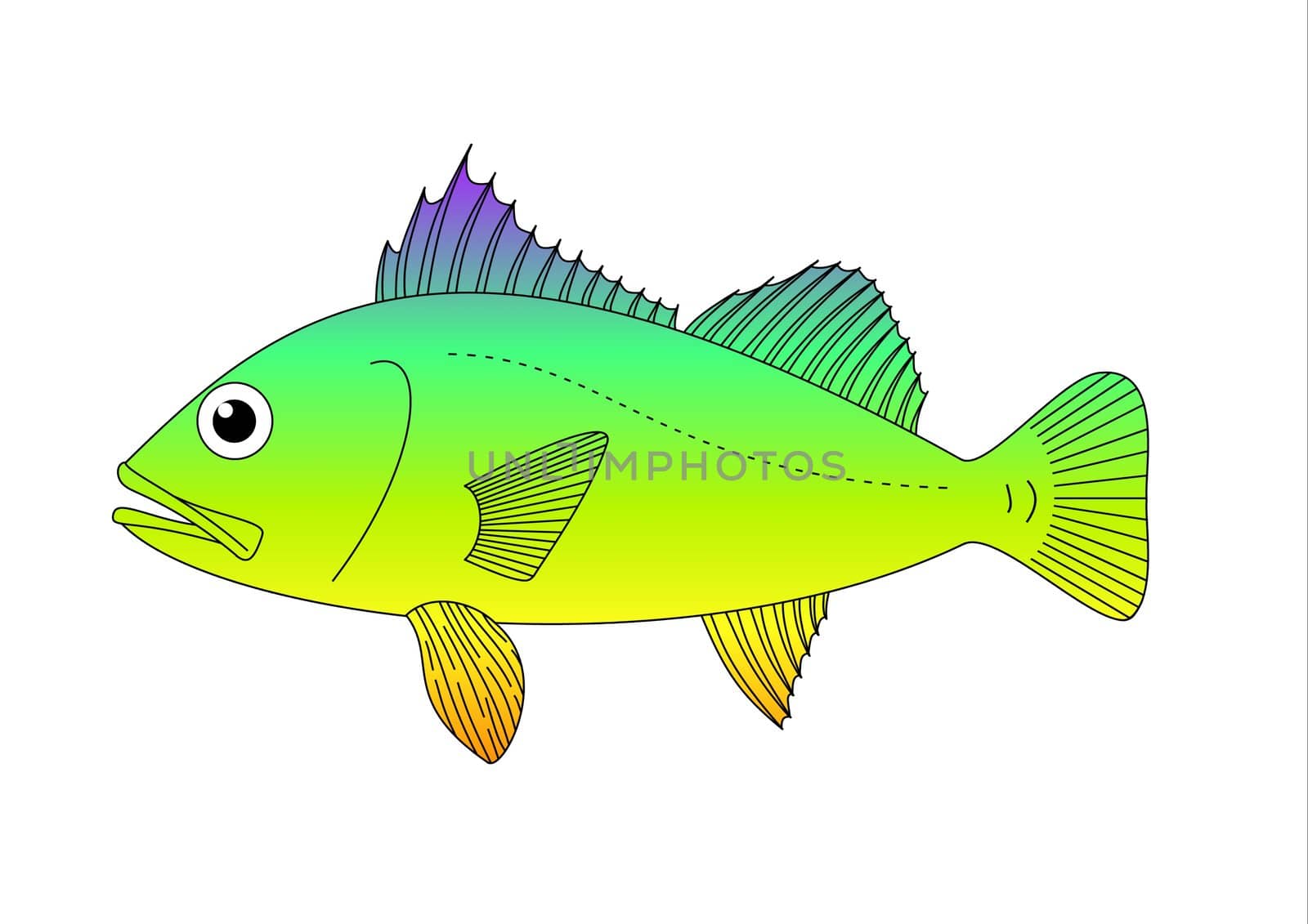 Illustration of a colourful fish on a white background