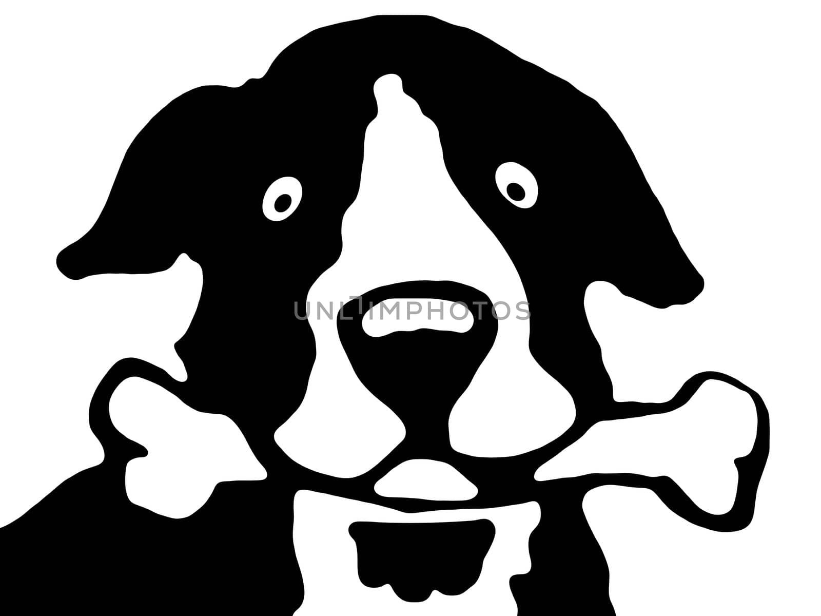 dog holding a bone