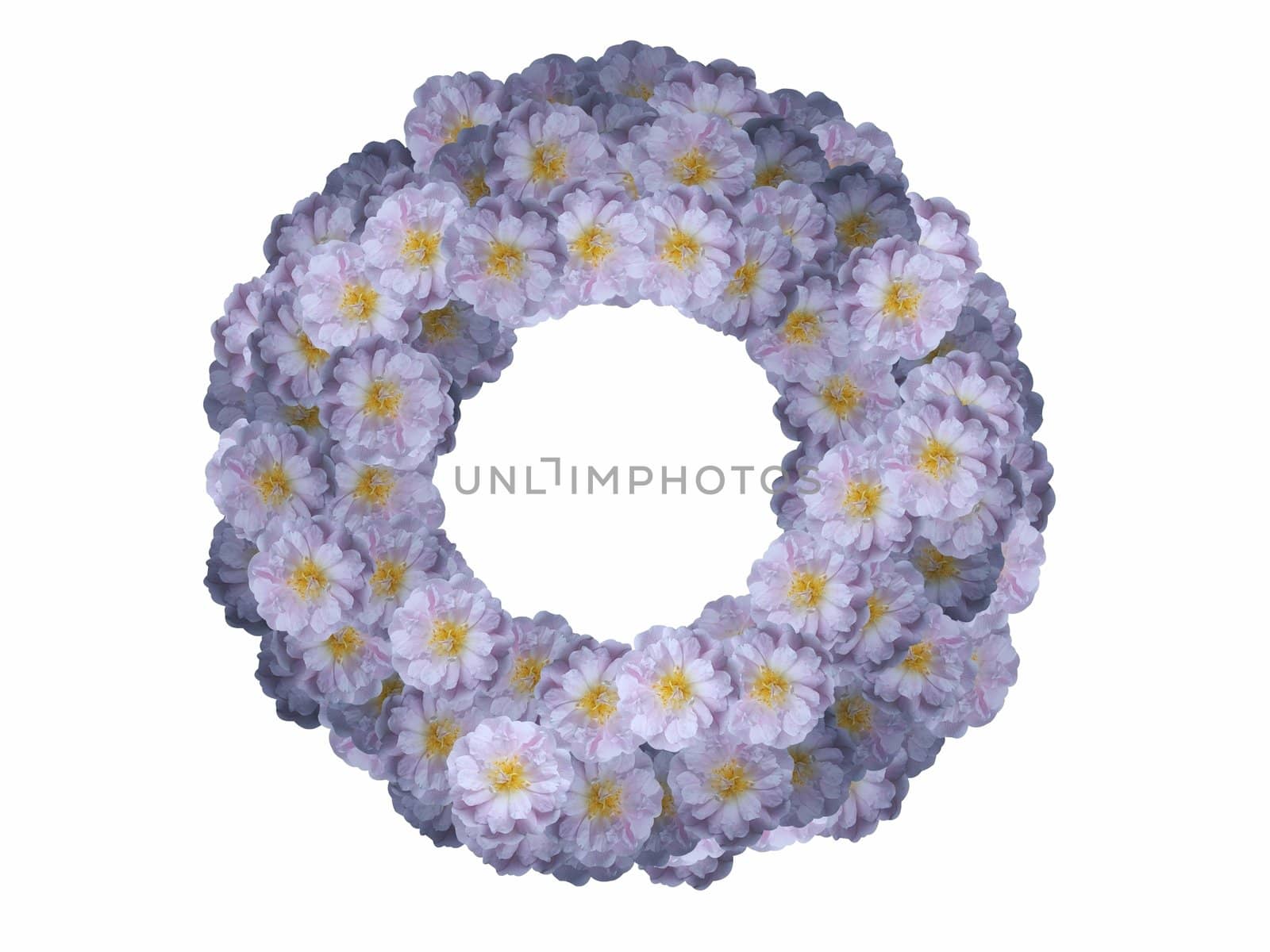 Illustrated flower frame on a white background