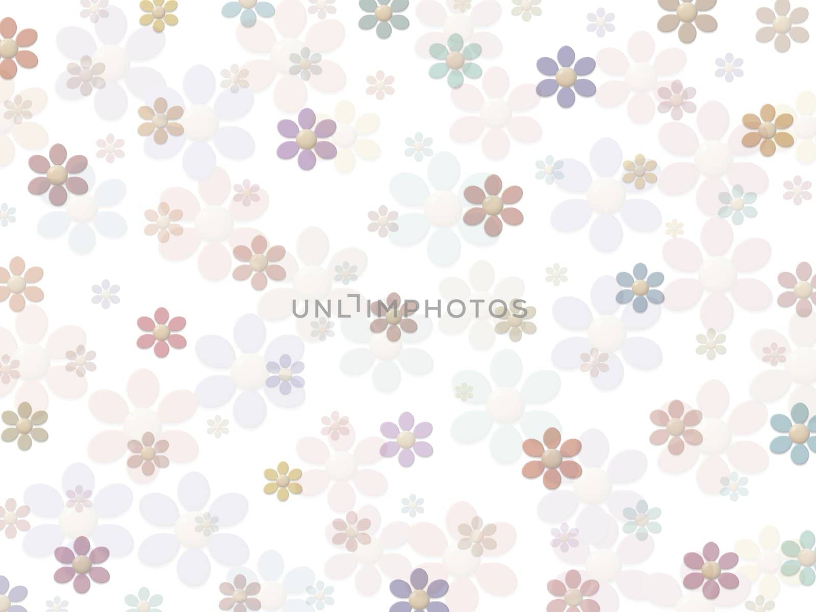 Flowers on a white background