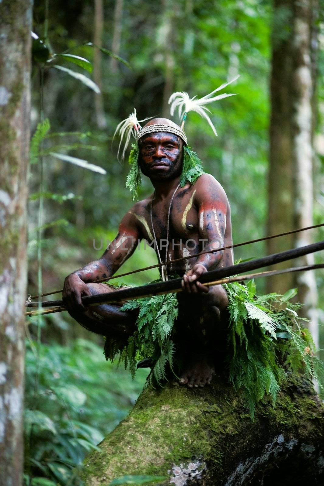 INDONESIA, NEW GUINEA, SECTOR SENGGI - 2 FEBRUARY 2009: The warrior of a Papuan tribe of Yafi in traditional clothes, ornaments and coloring. New Guinea Island, Indonesia. February 2, 2009. 