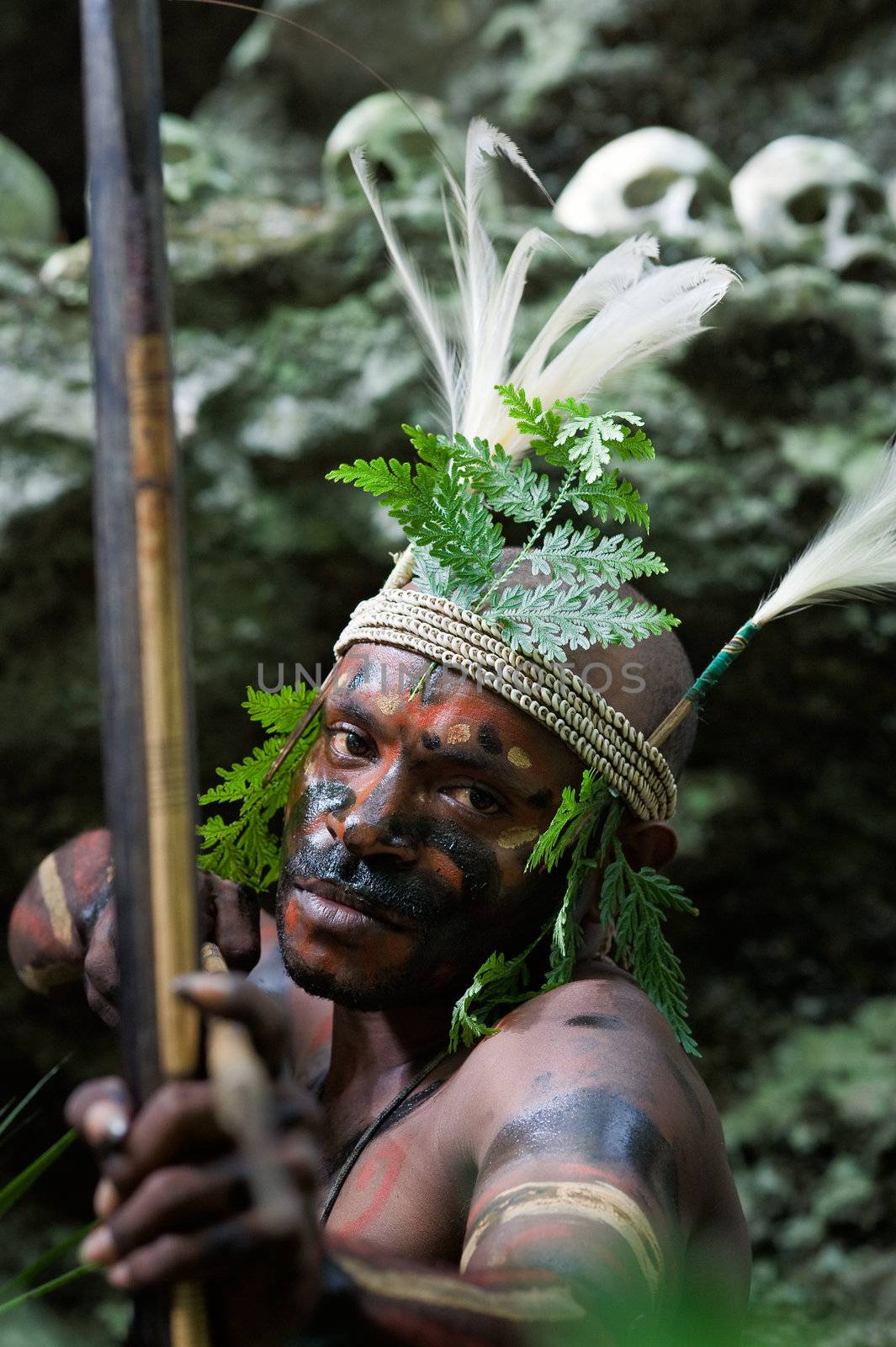 INDONESIA, NEW GUINEA, SECTOR SENGGI - 2 FEBRUARY 2009: The warrior of a Papuan tribe of Yafi in traditional clothes, ornaments and coloring. New Guinea Island, Indonesia. February 2, 2009. 